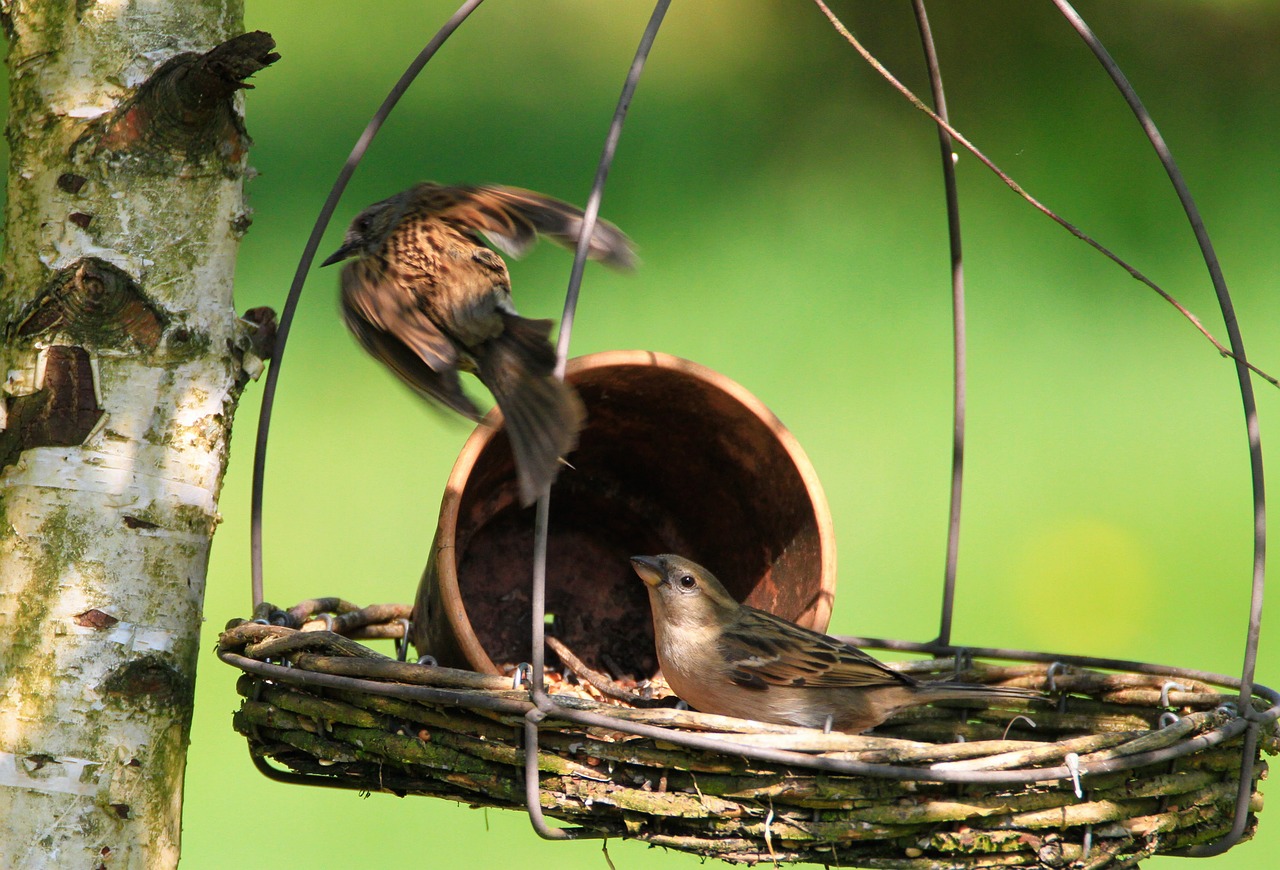 Stratejik Bahis Yöntemleri