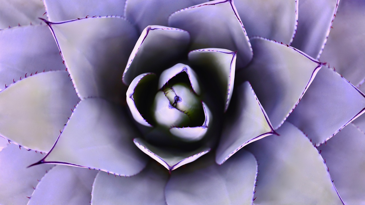 Güvenlik Önlemleri